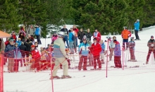Sezona 2012/2013